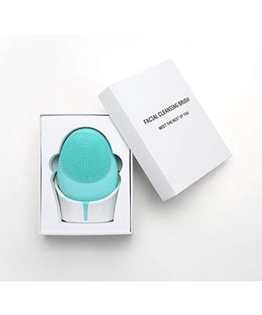 SYL Swan Egg Shape Wireless Silicone Facial Cleansing Brush Cleanser & Massager Silicone Vibrating IPX6 Waterproof Facial Cleansing (Light Blue) - Buy Online on GoSupps.com