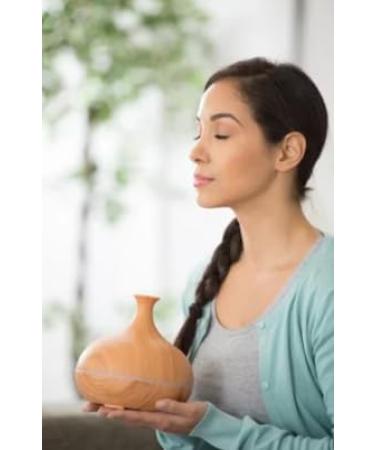 Northridge Oak - Eucalyptus (Eucalyptus globulus) - 3 Pack - 100% Pure Essential Oil Undiluted Therapeutic Grade - Buy Online on GoSupps.com