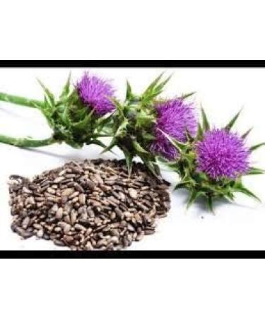 Wildcrafted Raw Milk Thistle Seed Whole - 8oz Silybum Marianum - Non GMO & Non Irradiated - Buy Online on GoSupps.com