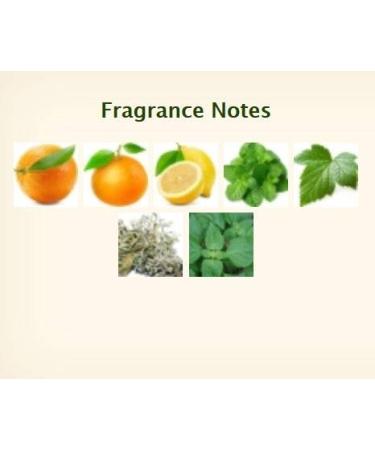 Herme s Eau d'Orange Verte Jumbo Soap - 5.2oz - Gift Boxed Perfumed Soap - Buy Online on GoSupps.com