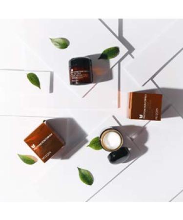 MIZON Snail Repair Cream 75ml (Pack of 3) - All-in-1 Skincare Solution - Buy Online on GoSupps.com