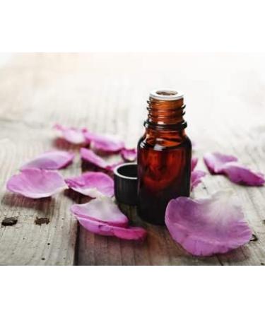 Buy Chocolate Kisses Mohrenkopf Edible Massage Oil 100ml - Intimate & Slippery Pleasure - Buy Online on GoSupps.com