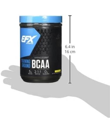 EFX Sports Training Ground BCAA - Sugar Free Amino Acids Supplement | Pre Intra Post Workout | 500g Strawberry Peach | Fully Soluble Best for International Shipping - Buy Online on GoSupps.com