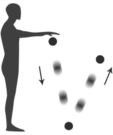 Verdant Touch Yoga Massage Ball - Rubber Round Ball for Muscle Relaxation | Foot Massager for All Ages - Blue - Buy Online on GoSupps.com