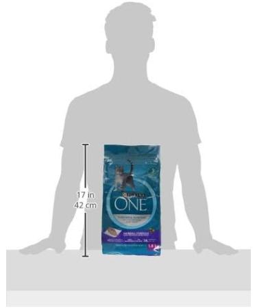 Purina ONE +Plus Dry Cat Food Hairball Formula Chicken - 1.8 kg Bag 1.8 kg (Pack of 1) - Buy Online on GoSupps.com