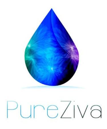 Pure Ziva Matte Oil Absorbing Eyeshadow Primer in Nude Beige - Paraben-Free, Cruelty-Free - Made in the USA - Buy Online on GoSupps.com