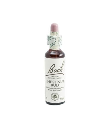 Bach BACH FLORES OF BACH CHESTNUT BUD 20 ml 20 ml glass bottle with dropper