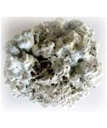 Lithothaminium calcareum 250 g powder - Buy Online on GoSupps.com
