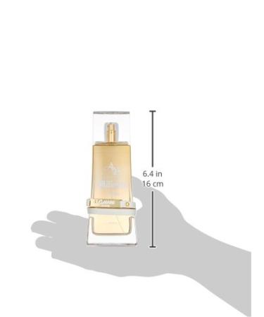 Lomani AB Spirit Millionaire Eau de Parfum Spray for Women 3.3 Ounce Fresh 3.3 Fl Oz (Pack of 1) - Buy Online on GoSupps.com