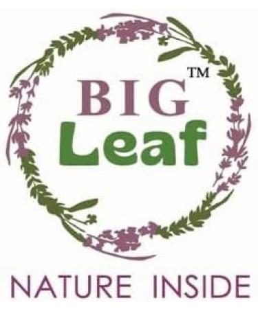 Buy Big Leaf Egyptian Loofah Sponge - 100% Natural Organic Exfoliating Body Scrubber for Men Women Kids | Textured Shower & Bath Sponge for Cellulite & Dry Skin - Buy Online on GoSupps.com