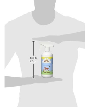 Little Twig Wood Polish - Lemon Fresh Scent | 16 oz | Eco-Friendly & Effective for International Shipping - Buy Online on GoSupps.com