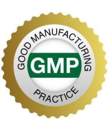 Bone Support Supplements - MSM (Methylsulfonylmethane) - Msm for Skin - 2 Bottles 120 Tablets - Buy Online on GoSupps.com