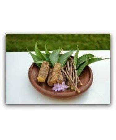 Buy Desert Dress 12 Miswak Tooth Sticks - Traditional Arabic Toothbrushes for Healthy Teeth | New Dozen Brown - Buy Online on GoSupps.com