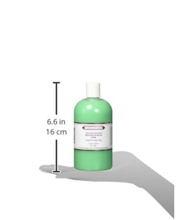 Simply Divine Botanicals Outer Body Experience Foaming Cleanser for Body Face & Hair - Natural Grapefruit-Ylang Ylang 16 oz | Buy Internationally - Buy Online on GoSupps.com