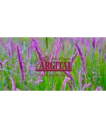 ARGITAL Molding oil 125 ml - Buy Online on GoSupps.com