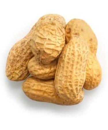 Yupik Dry Roasted Unsalted Peanuts In Shell 1 kg Kosher Gluten-Free Vegan Whole Nuts with Shell No Added Salt Lightly Roasted Oil-Free High in Fiber Healthy Snack Once Shelled Roasted Peanuts 1 kg (Pack of 1) - Buy Online on GoSupps.com