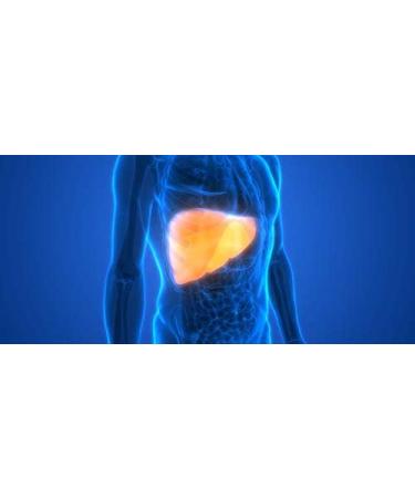 kidney liver pills - LIVER SUPPORT COMPLEX 1200 MG - EXTRA STRENGTH FORMULA - milk thistle pill uric acid cleanse and detox uric acid flush liver detox pills liver cleanse detox & repair 2B 60C - Buy Online on GoSupps.com