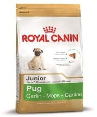 Royal Canin Pug Pug Junior 0.5 kg - Buy Online on GoSupps.com