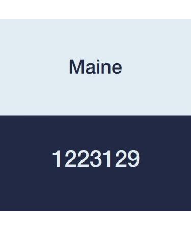 Maine 1223129 PES Capsule Filter Hydrophilic Polyester Housing 0.2 m Pore Size 3/8 Hose Barb