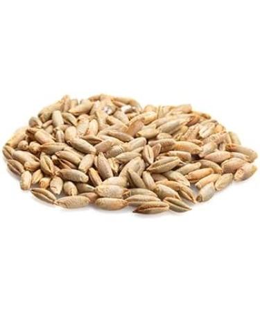 Yupik Organic Rye Kernels 1 kg Non-GMO Vegan Kosher Raw Whole Grains Salt-Free Oil-Free Source of Fiber Ideal for Cooking & Sprouting 1 kg (Pack of 1) - Buy Online on GoSupps.com