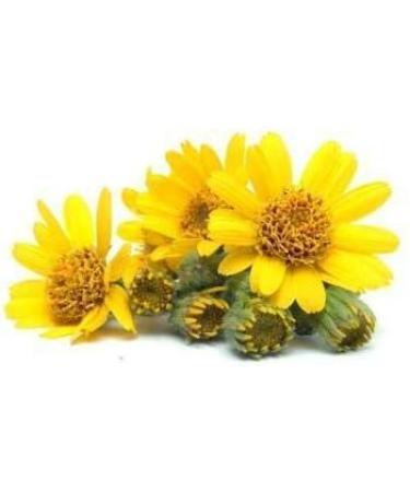 Buy 100% Natural Arnica Essential Oil (500 ML) - Pure Cold Pressed Therapeutic Aromatherapy Oil by Salvia - Uncut & Undiluted for Pain Relief - Buy Online on GoSupps.com