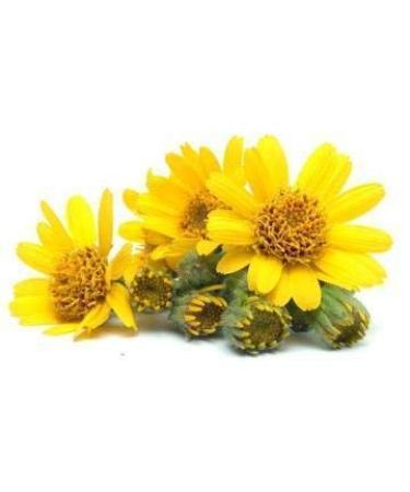Salvia Amber Arnica Montana Therapeutic Essential Oil - 100% Natural Cold Pressed Aromatherapy Oil (15 ML) - Buy Online on GoSupps.com