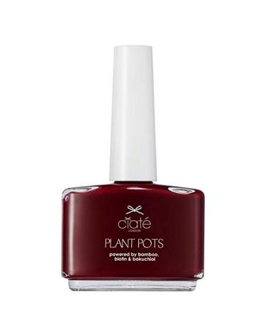 Plant Pot Vegan Friendly Nail Polish - Dangerous A