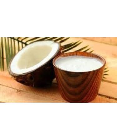 Coconut Milk Powder 500 g - Buy Online on GoSupps.com