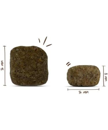 Bosch HPC Medium Junior Dry Dog Food for Medium Breeds | 1 kg Pack - Optimal Nutrition for Growing Dogs - Buy Online on GoSupps.com