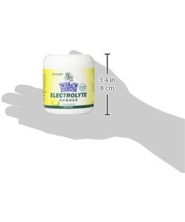 Celtic Sea Salt Electrolyte Powder Drink Mix - 4.2 oz | Natural Hydration Supplement - Buy Online on GoSupps.com