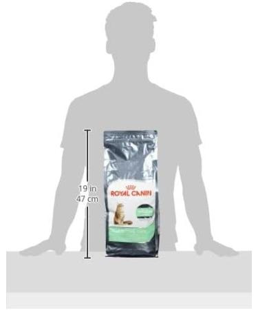 Royal Canin Digestive Comfort Cat Food 2 kg - Supports Digestive Health - Buy Online on GoSupps.com