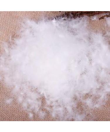 100% Natural White Goose Down Filling - 650 Fill Power - Ultra-Plush Hungarian Softness - Perfect for Comforters, Pillows, Jackets & More (1/4 lb) - Buy Online on GoSupps.com