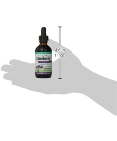 Quantum Elderberry Liquid Extract 2 Fl Oz. (Pack of 12) - Buy Online on GoSupps.com