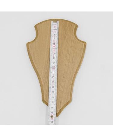 5 Piece REH Trophy Signs - Light Oak Plaques with Pine Compartment | 19x11 cm - Ideal for Awards & Decor | International Shipping - Buy Online on GoSupps.com