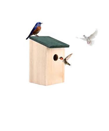 ADEPTNA Wooden Wild Bird Nest Box Bird House for Small Birds Sparrows Blue Tit Great Tits Robin Ready Assembled - Buy Online on GoSupps.com
