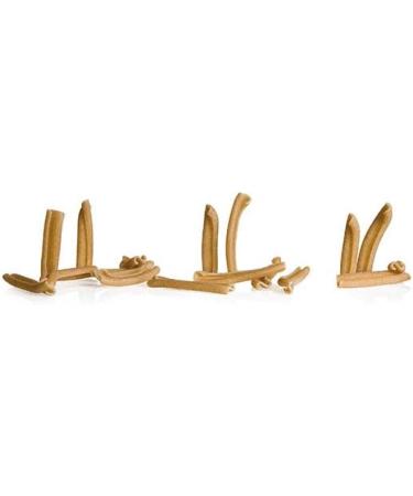 Carnation Pasta whole grain homemade (1 kg) + Whole grain Pappardelle (1 kg) - Buy Online on GoSupps.com