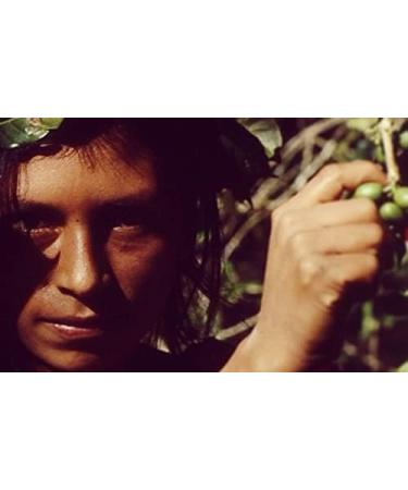 Source Climate Change Coffee Award Winning Organic Medium Roast Nicaragua Single Origin Roast and Ground Coffee Bag 0.227kg - Buy Online on GoSupps.com