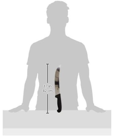 Victorinox Fibrox Pro 10-Inch Curved Cimeter Knife - Professional Grade Cutlery - Buy Online on GoSupps.com