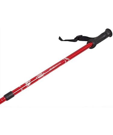 Eurobatt Nordic Walking Stock Set - 2 Pairs with Anti-Shock Damping System (65-135cm) - Trekking Poles for Couples - Color Variants Available - Buy Online on GoSupps.com