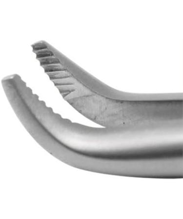 SURGICAL INSTRUMENT SPECIALISTS Cheek Teeth Extraction Forceps Molar Teeth Extraction Forceps Dental For Rodent - Buy Online on GoSupps.com