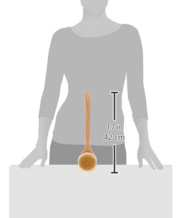 Clean Logic Wooden Handle Bristle Bath Brush - 1 Pack - Buy Online on GoSupps.com