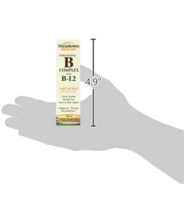 Sundown Naturals B Complex Sublingual Liquid 2 fl oz - Energy & Vitality Boost - Buy Online on GoSupps.com