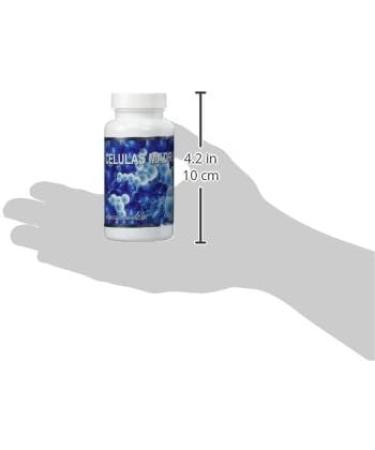 Stem Cell Supplement 240 Capsules (60 Count x 4 Bottles) - Pack of 1 - Buy Online on GoSupps.com