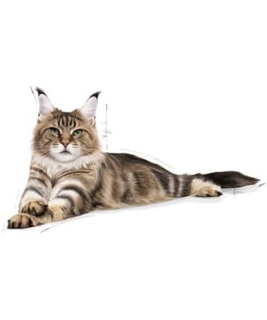 Royal Canin Light Weight Care Adult Dry Cat Food 400g - Buy Online on GoSupps.com