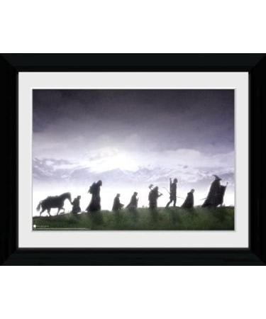GB eye The Lord of The Rings Fellowship 30x40cm Framed Collector Print - Officially Licensed Merchandise - Buy Online on GoSupps.com