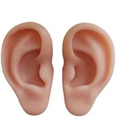 Silicone Ear Models Soft Silicone Artificial Ear Model for Ear Picking Practice Used for Acupuncture Practice Training Headset Display Props(1 Pair) - Buy Online on GoSupps.com