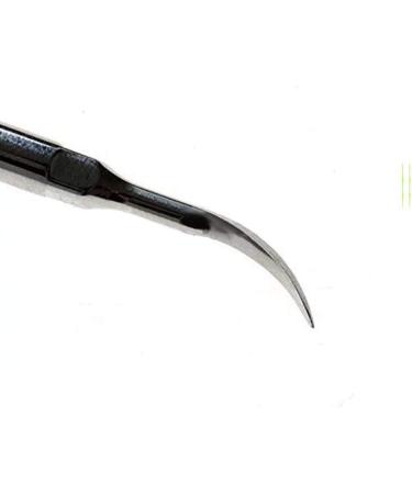 10x G3 Cleaning Teeth Tip - Superior Dental Hygiene Solution - Buy Online on GoSupps.com