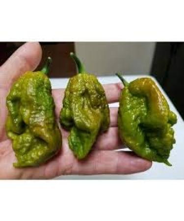 SEMI PEPERONCINO-Big Mama Mustard-