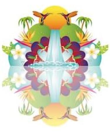 Chi 100% Pure Coconut Water (330ml x 12) - Buy Online on GoSupps.com