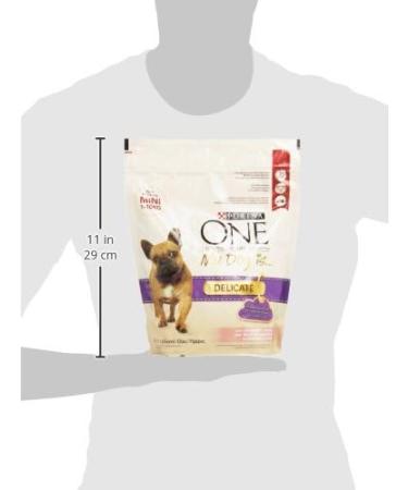 Purina ONE Mini Dog Food with Salmon and Rice 800g - Buy Online on GoSupps.com